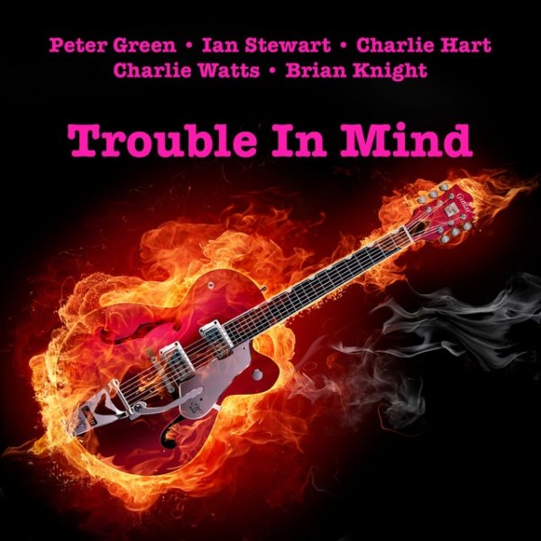Album Peter Green - Trouble In Mind