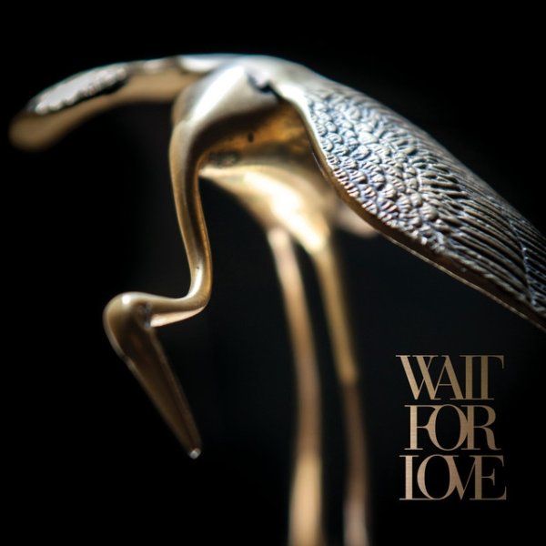 Wait For Love - album