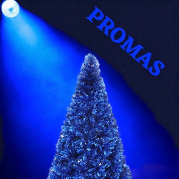 ProMas - album