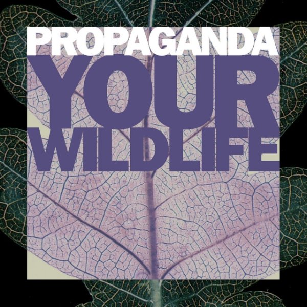 Album Propaganda - Your Wildlife