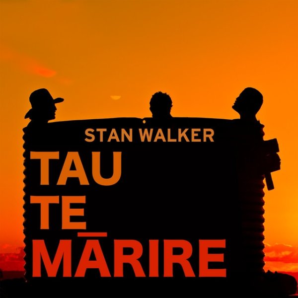 Album Stan Walker - Tau Te Marire / Take It Easy