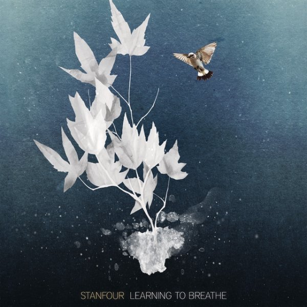 Album Stanfour - Learning To Breathe