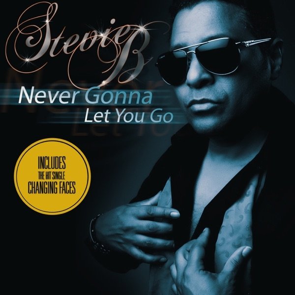 Album Stevie B - Never Gonna Let You Go