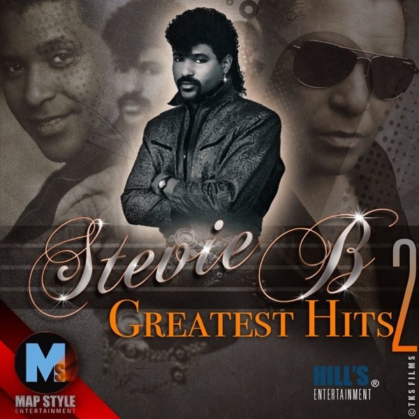 Album Stevie B - The Greatest Hits, Vol. 2