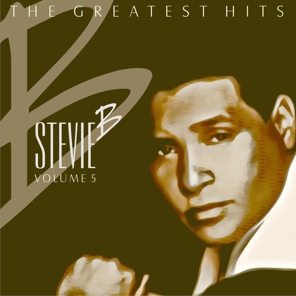 Album Stevie B - The Greatest Hits Volume 5