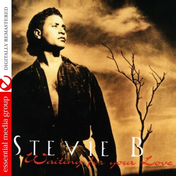 Album Stevie B - Waiting for Your Love