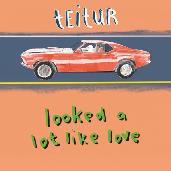 Album Teitur - Looked a Lot Like Love