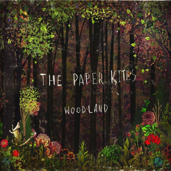 Album The Paper Kites - Woodland