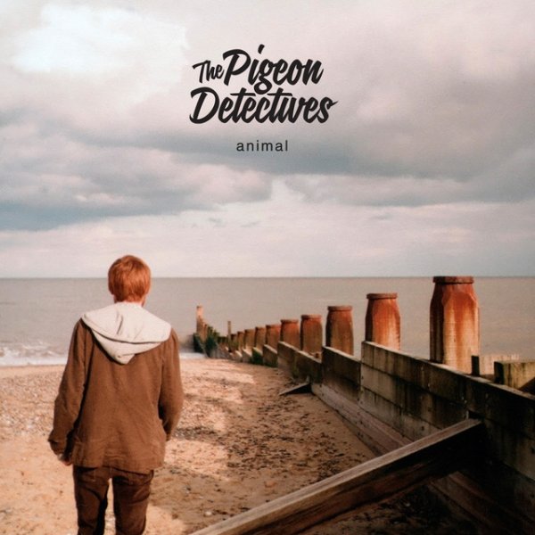 Album The Pigeon Detectives - Animal