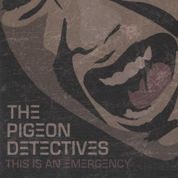 Album The Pigeon Detectives - This Is An Emergency