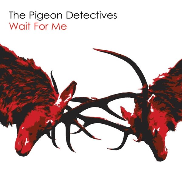 Album The Pigeon Detectives - Wait for Me