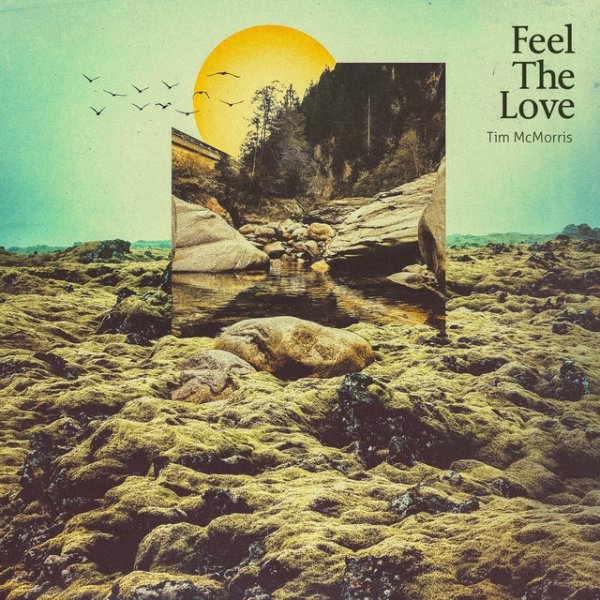 Album Tim McMorris - Feel the Love