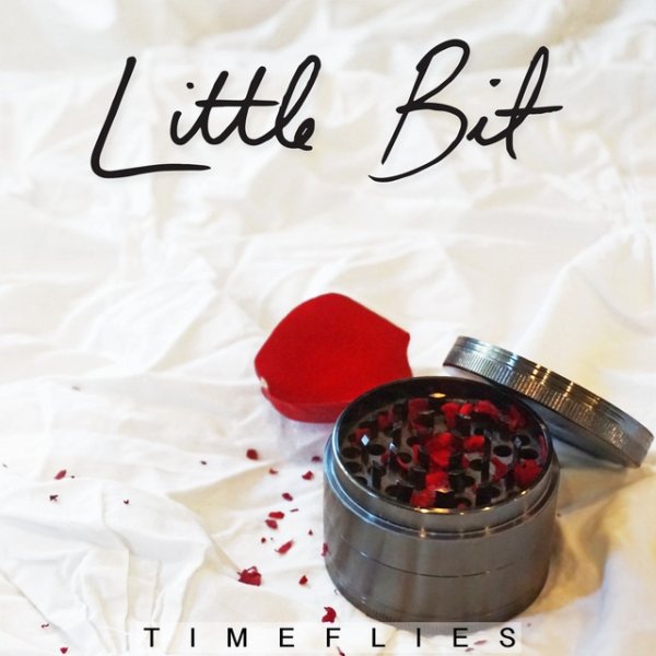 Album Timeflies - Little Bit
