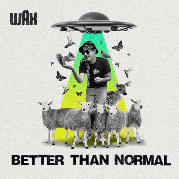 Album Wax - Better Than Normal