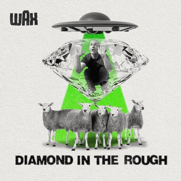 Wax Diamond in the Rough, 2019