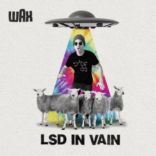 Album Wax - LSD in Vain