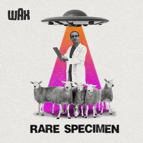 Album Wax - Rare Specimen
