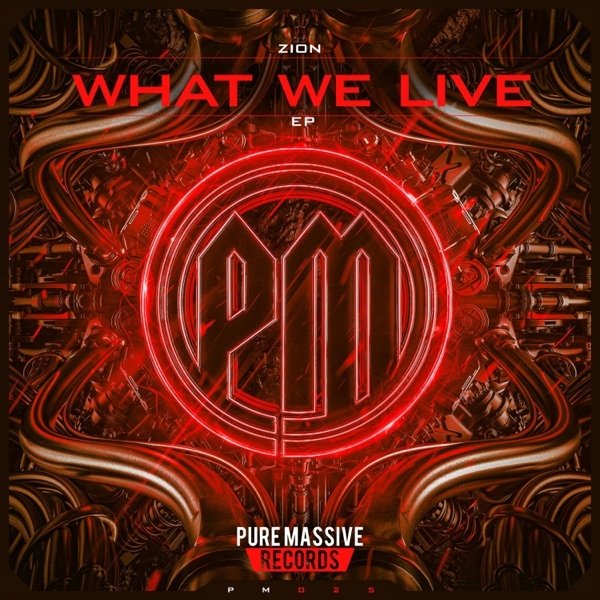 Album Zion - What We Life
