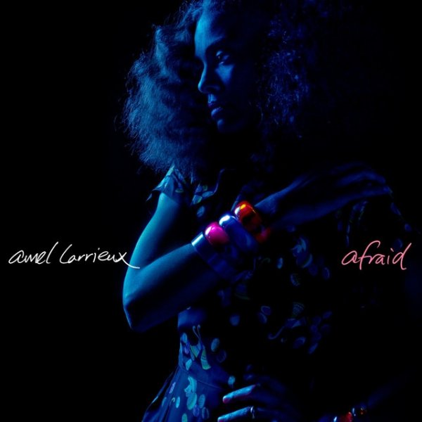 Album Amel Larrieux - Afraid