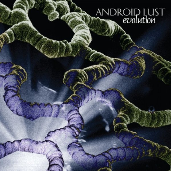 Album Android Lust - Evolution