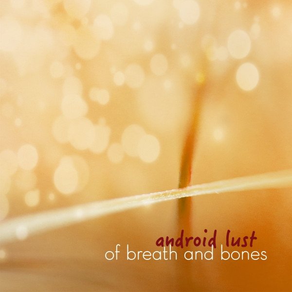 Album Android Lust - Of Breath And Bones