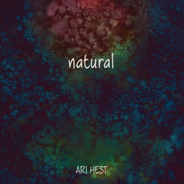 Album Natural - Ari Hest