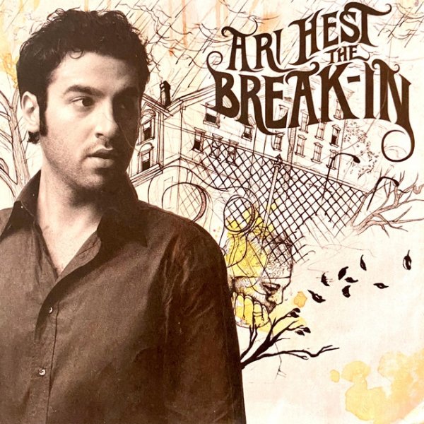 Album Ari Hest - The Break-In