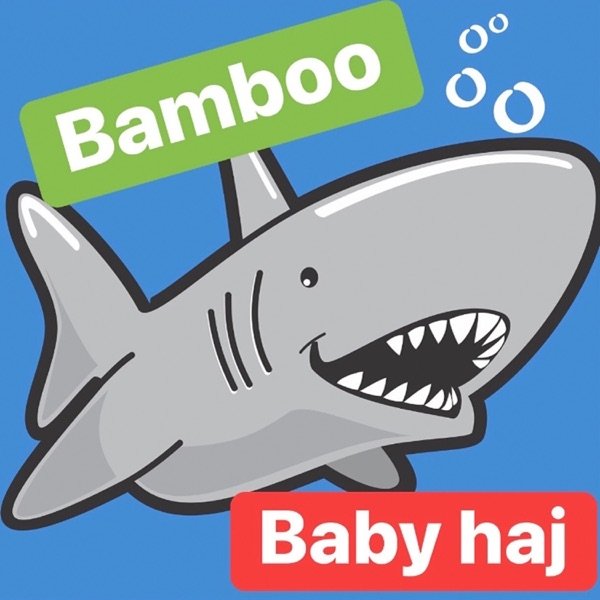 Album Bamboo - Baby haj