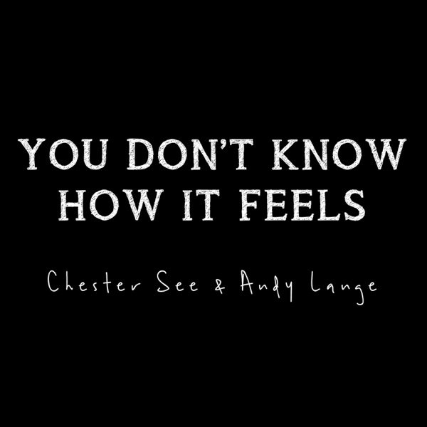 Chester See You Don't Know How It Feels, 2017