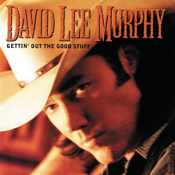 Album David Lee Murphy - Gettin