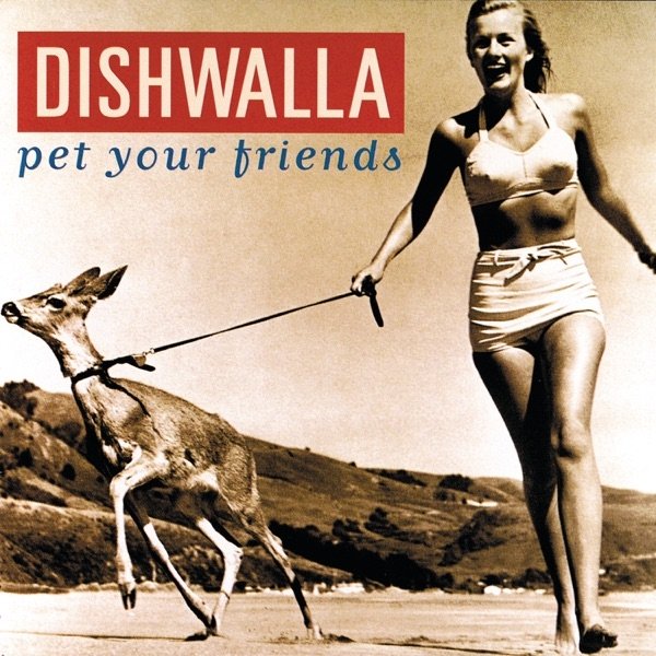Album Dishwalla - Pet Your Friends