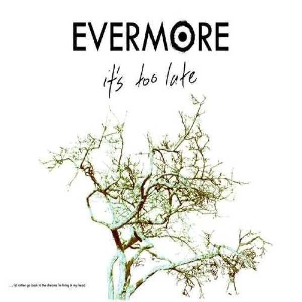 Evermore It's Too Late, 2004