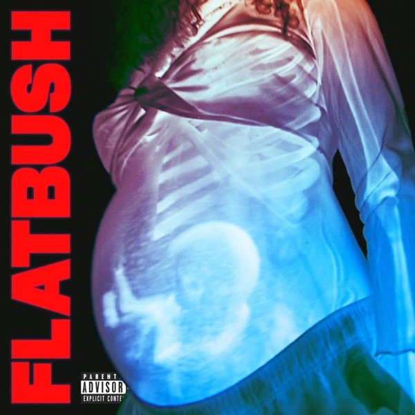 Album Flatbush ZOMBiES - Afterlife