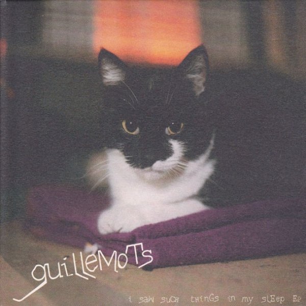 Guillemots I Saw Such Things In My Sleep EP, 2005