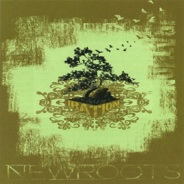 Album Iration - New Roots