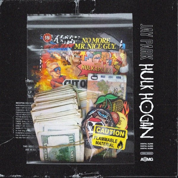Hulk Hogan - album