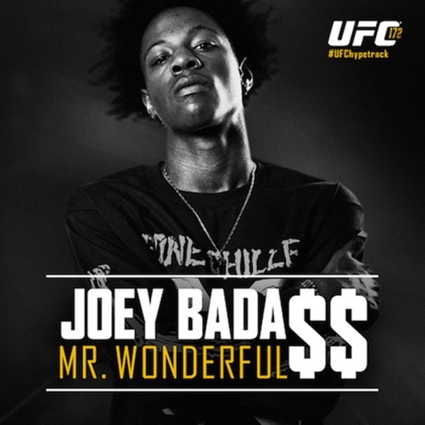 Album Joey Bada$$ - Mr. Wonderful