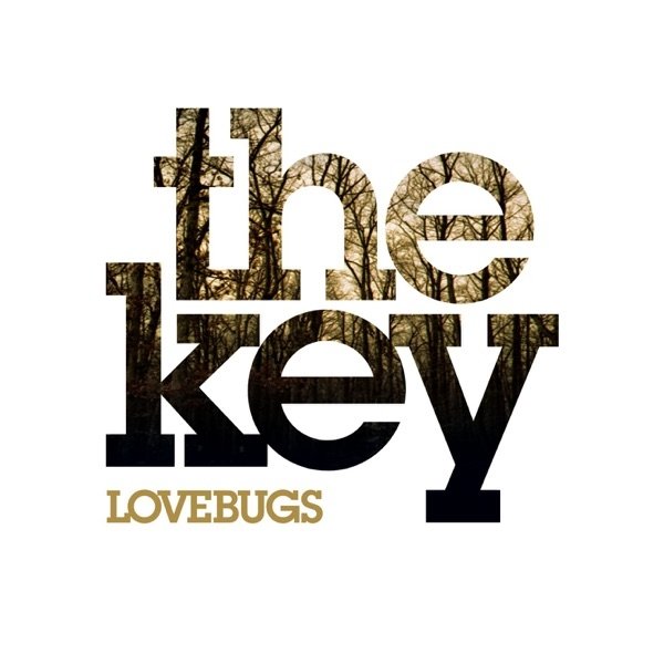 Album Lovebugs - The Key