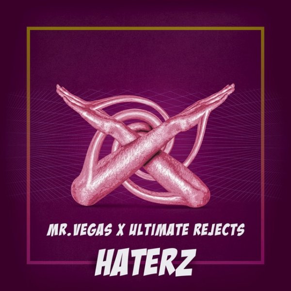 Album Mr. Vegas - Haterz