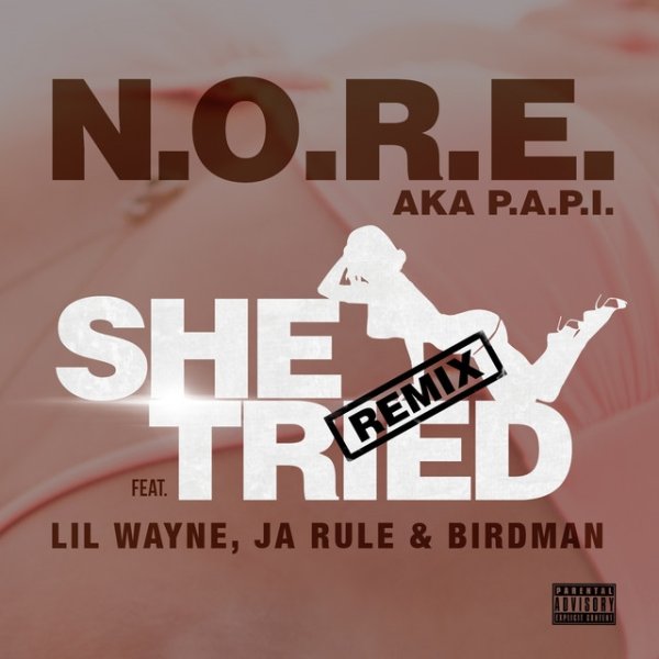 Album N.O.R.E. - She Tried