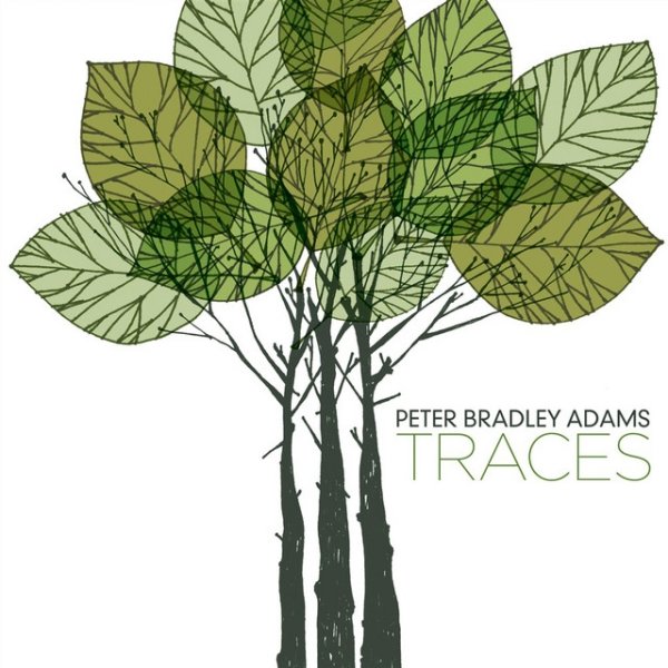 Album Peter Bradley Adams - Traces