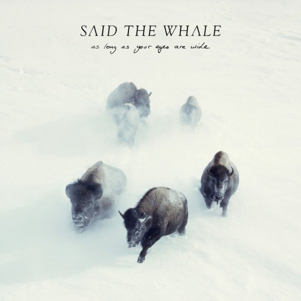Said the Whale As Long As Your Eyes Are Wide, 2017