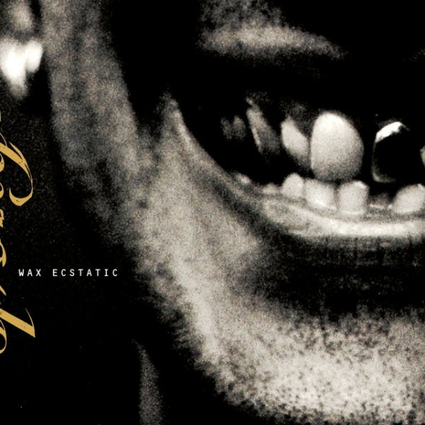 Wax Ecstatic - album