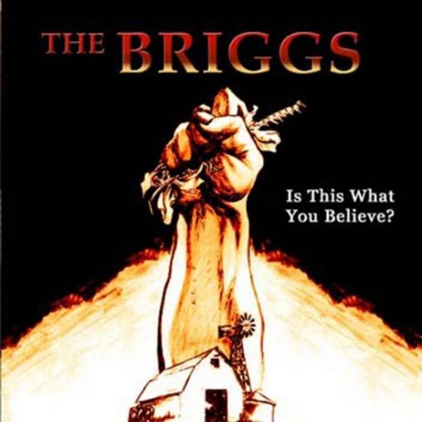 Album The Briggs - Is This What You Believe?
