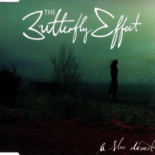 Album The Butterfly Effect - A Slow Descent