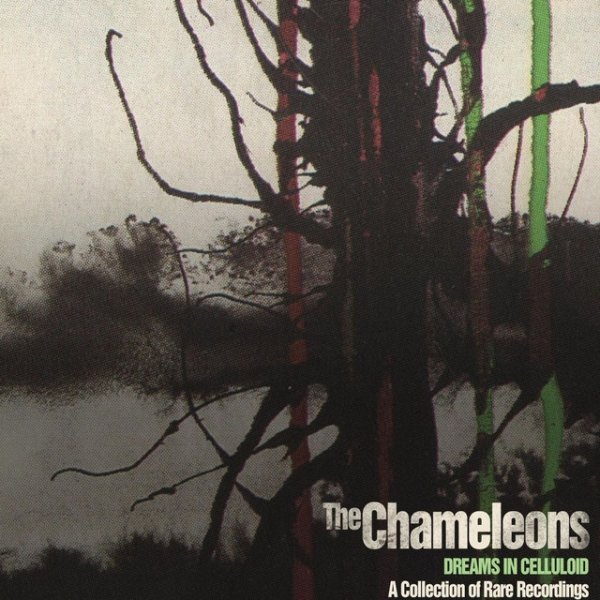 The Chameleons Dreams in Celluloid: A Collection of Rare Recordings, 2013