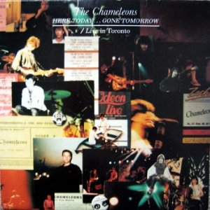 Album The Chameleons - Here Today... Gone Tomorrow / Live In Toronto
