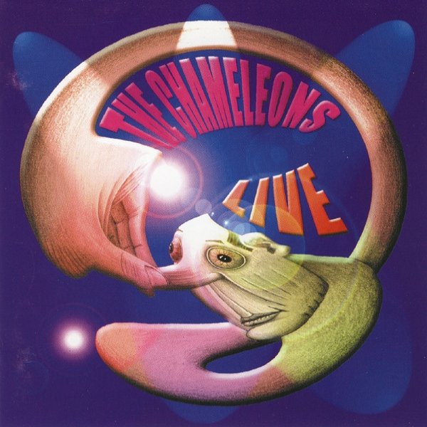 Album The Chameleons - Live At The Academy