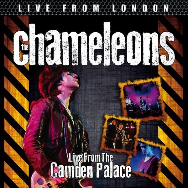 Album The Chameleons - Live From London