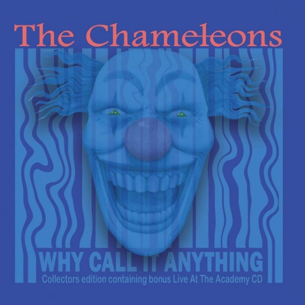 The Chameleons Why Call It Anything, 2001